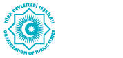 TDT amblemi